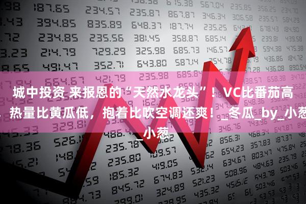 城中投资 来报恩的“天然水龙头”！VC比番茄高，热量比黄瓜低，抱着比吹空调还爽！_冬瓜_by_小葱